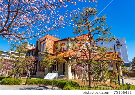 Okanzakura Blooming, Cultural Path Futaba Museum <Nagoya City, Aichi Prefecture> Okanzakura Blooming, Cultural Path Futaba Museum <Nagoya City, Aichi Prefecture> 75196451