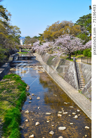 Sakura view Shukugawa Sakura view Shukugawa 75196493