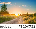 amazing summer rural landscape with sunrise 75196782