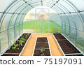 small polycarbonate greenhouse in backyard garden 75197091