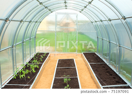 small polycarbonate greenhouse in backyard garden 75197091