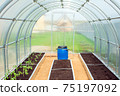 small plastic  greenhouse in backyard in garden. 75197092