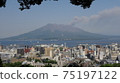 櫻島升煙 75197122