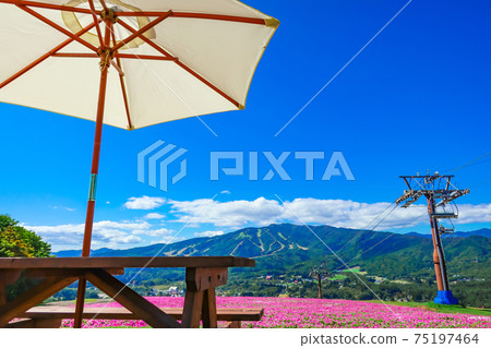 Hiruga的野餐花園，風景優美的高地度假勝地<岐阜縣坤城市> 75197464
