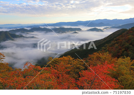 Sea of clouds at Tachisato Ara Shrine Sea of clouds at Tachisato Ara Shrine 75197830
