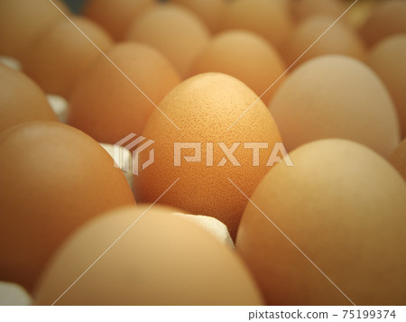 Slective focus of fresh chicken eggs on trays for sale at a supermarket ready to be picked up by a customer Slective focus of fresh chicken eggs on trays for sale at a supermarket ready to be picked up by a customer 75199374