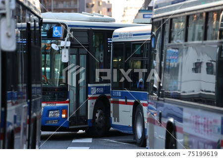 Many fixed-route buses at the stop 75199619