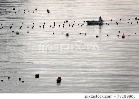 Pearl farm buoy 75199903