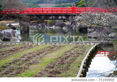 Miyono-bashi in South Paradise Miyono-bashi in South Paradise 75199908