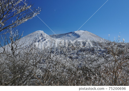 Mount Karakuni covered with hoarfrost seen from the mountain trail 75200696
