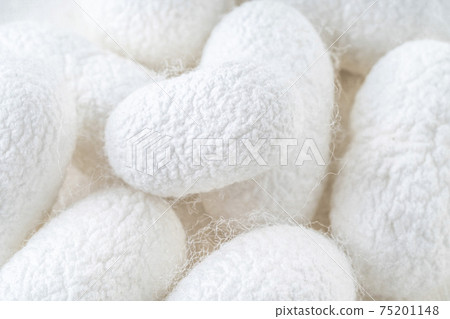 background with white silkworm cocoons shells, source of silk fabric background with white silkworm cocoons shells, source of silk fabric 75201148