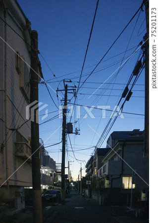 Royal blue sky and wires in winter evening 75201173