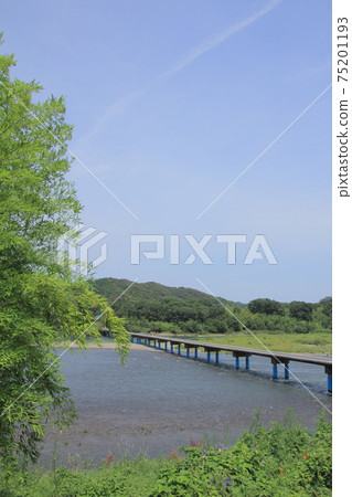 Sada subsidence bridge over the Shimanto River Sada subsidence bridge over the Shimanto River 75201193