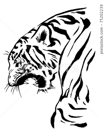 Barking tiger, black and white Barking tiger, black and white 75202239