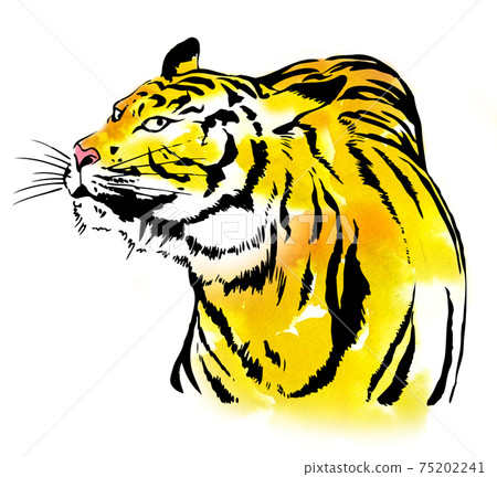 Tiger glare, color 75202241