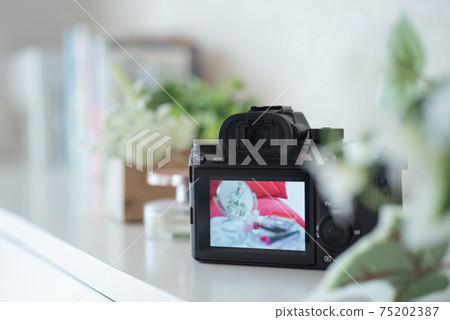 Image of interior: Camera placed on the shelf 75202387