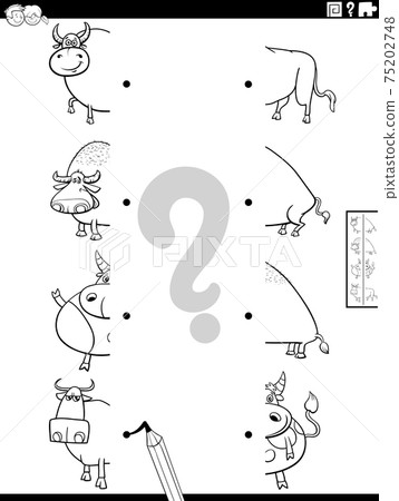match halves of cartoon bulls pictures coloring book page match halves of cartoon bulls pictures coloring book page 75202748