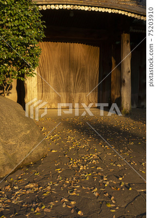 Cobblestones and wooden gates with deciduous leaves of various colors Cobblestones and wooden gates with deciduous leaves of various colors 75203910