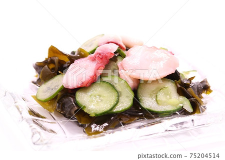 Octopus vinegared thing bright background 75204514