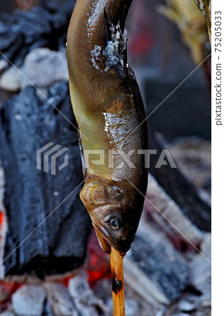 鹽烤香魚 75205033