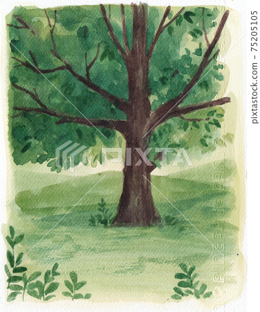 Tree watercolor element 75205105