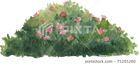 Tree watercolor element Tree watercolor element 75205260