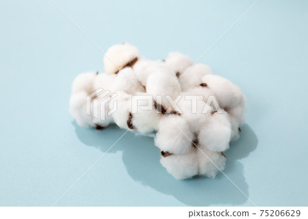 棉花棉球可持續 75206629