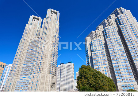 Tokyo Metropolis 75206813