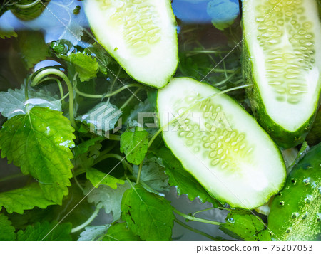 cooked refresher from lemon balm and cucumber 75207053