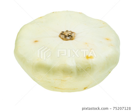 white squash patisson cutout on white 75207128