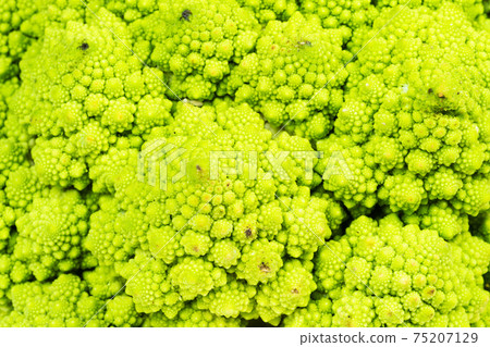 surface of fresh romanesco broccoli cabbage 75207129