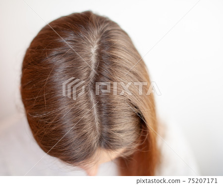 A woman's head with a parting of gray hair.  75207171