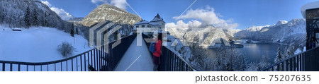 Hallstatt lake and the frozen forest Hallstatt lake and the frozen forest 75207635