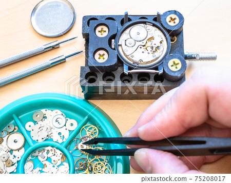 watchmaker picks up gear for mechanical watch watchmaker picks up gear for mechanical watch 75208017