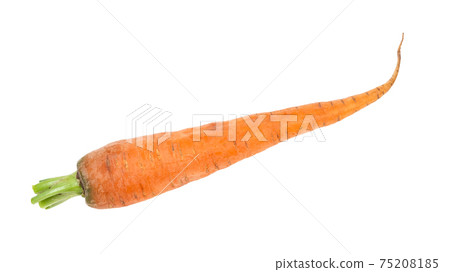 fresh organic garden carrot cutout on white fresh organic garden carrot cutout on white 75208185