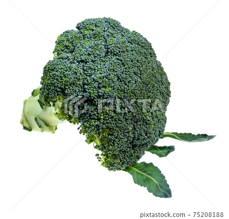 fresh green Broccoli with leaves cutout on white 75208188