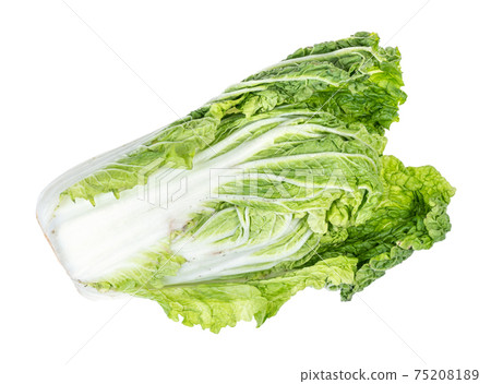 fresh green Napa cabbage cutout on white 75208189