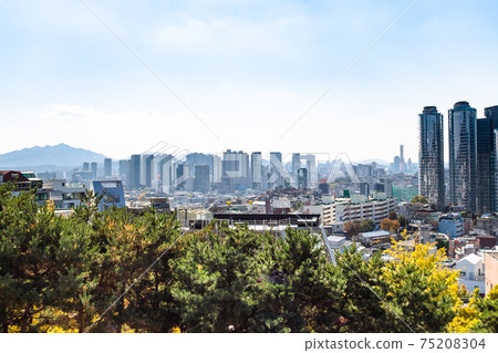 skyline of Seoul city from Namsan Park in autumn skyline of Seoul city from Namsan Park in autumn 75208304