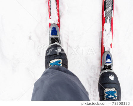 skier fixes boot to plastic skis at snow in winter skier fixes boot to plastic skis at snow in winter 75208353