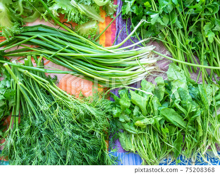 herbs prepared for cooking are drying on cloth herbs prepared for cooking are drying on cloth 75208368