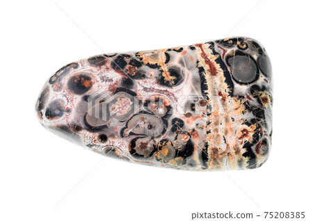 leopard skin jasper (jaguar stone) gemstone cutout leopard skin jasper (jaguar stone) gemstone cutout 75208385