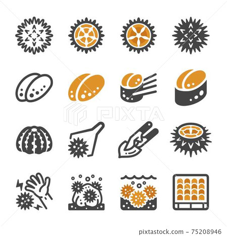 sea urchin icon set 75208946