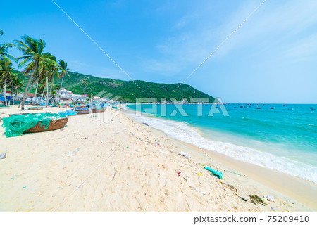 Secluded tropical beach turquoise transparent water palm trees, Bai Om undeveloped bay Quy Nhon Vietnam central coast travel destination, desert white sand beach no people clear blue sky, expansive 75209410