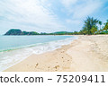 Secluded tropical beach turquoise transparent water palm trees, Bai Om undeveloped bay Quy Nhon Vietnam central coast travel destination, desert white sand beach no people clear blue sky, expansive 75209411