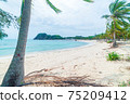 Secluded tropical beach turquoise transparent water palm trees, Bai Om undeveloped bay Quy Nhon Vietnam central coast travel destination, desert white sand beach no people clear blue sky, expansive 75209412
