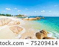 Gorgeous tropical beach turquoise transparent water unique rock boulders, Cam Ranh Nha Trang Vietnam south east coast travel destination, desert beach no people clear blue sky 75209414