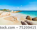 Gorgeous tropical beach turquoise transparent water unique rock boulders, Cam Ranh Nha Trang Vietnam south east coast travel destination, desert beach no people clear blue sky 75209415