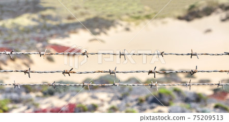 Close up picture of rusty barbed wire. 75209513