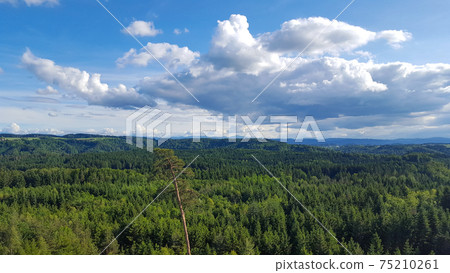 View over an amazing big forest around Winterthur, Switzerland View over an amazing big forest around Winterthur, Switzerland 75210261