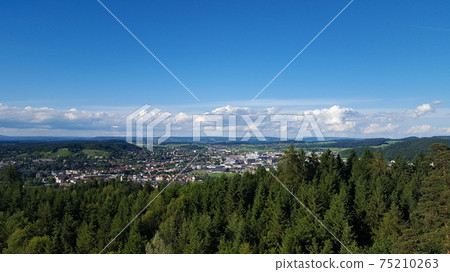 View over an amazing big forest towards the city of Winterthur, Switzerland View over an amazing big forest towards the city of Winterthur, Switzerland 75210263
